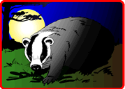 Badger