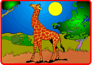 Giraffe