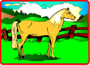 Horse