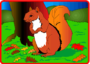 Squirrel