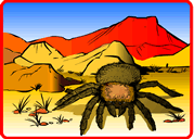 Tarantula