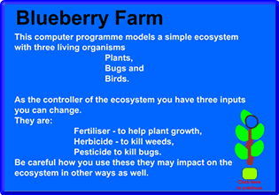 Blueberry Farm Simulation