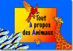 Tout a Propos des Animaux