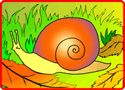 L'escargot