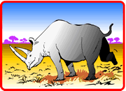 Le rhinocéros blanc