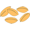 grains