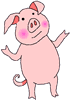 pig