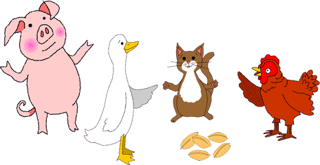 Pig, Duck, Cat and the Little Red Hen