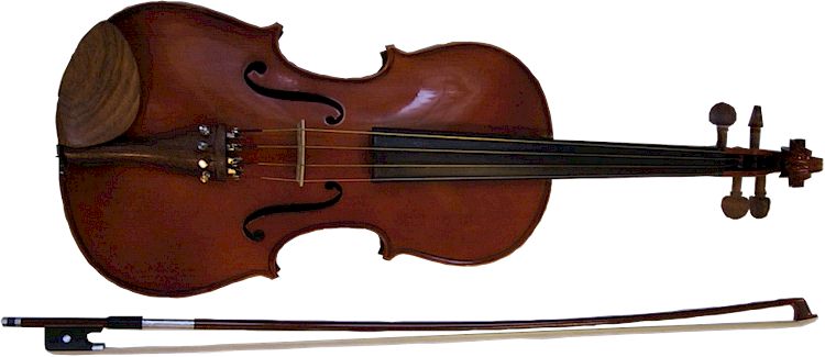 Viola