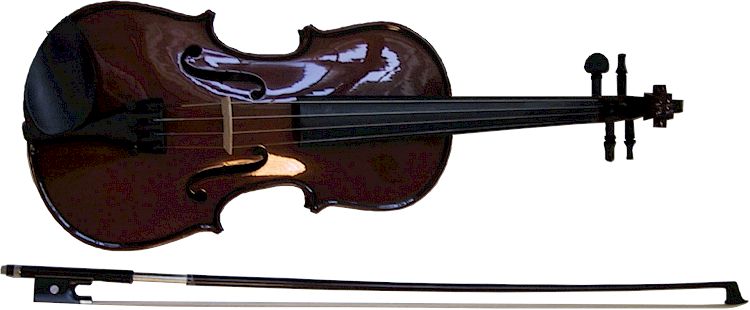 Violin